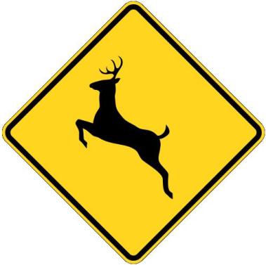 Motorists warned of risk of collisions with deer during rutting season